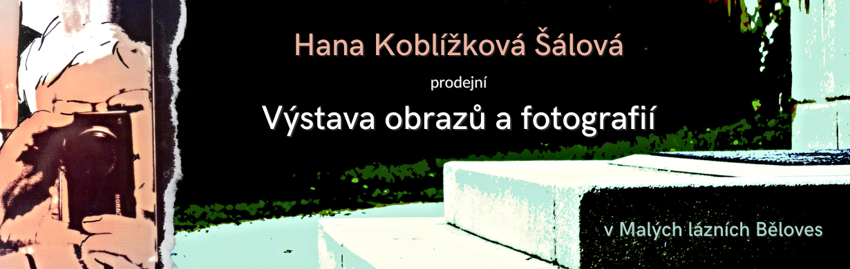Hana Koblížková Šálová: prodejní výstava obrazů a fotografií