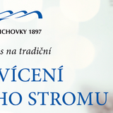 Rozsvícení vánočního stromu a charitativní koncert v lázních Velichovky