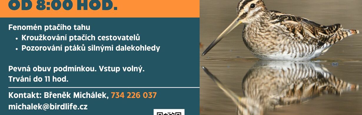 Festival ptactva v josefovských loukách Festival ptactva v josefovských loukách