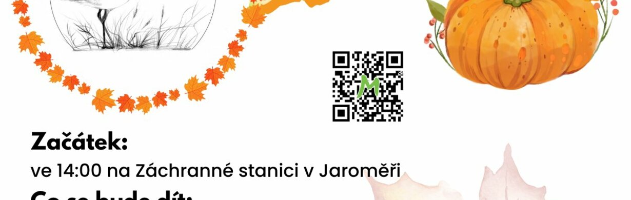 Podzimní dýňování Podzimní dýňování