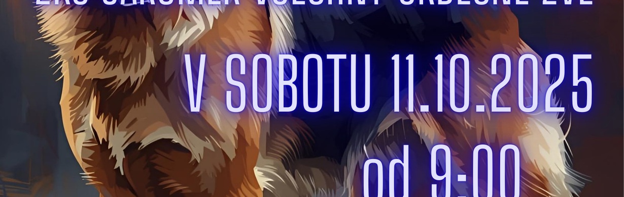 XX. Oblastní výstava německých vlčáků