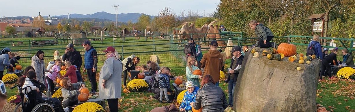 Dlabání dýní na farmě Wenet