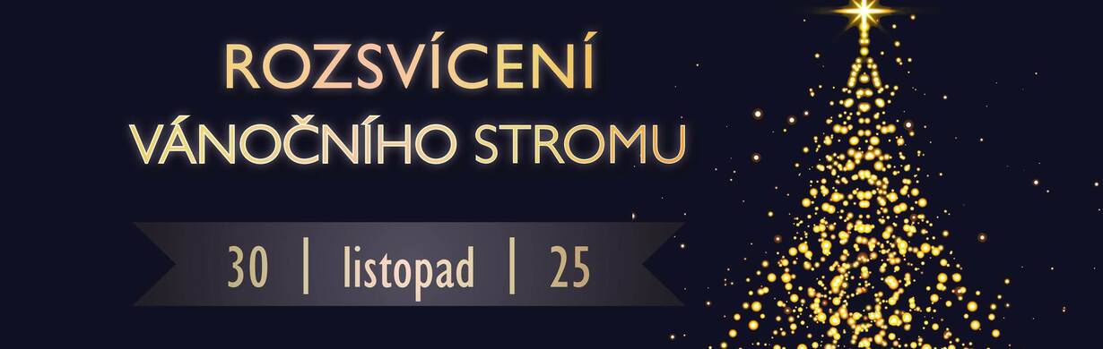Rozsvícení vánočního stromu