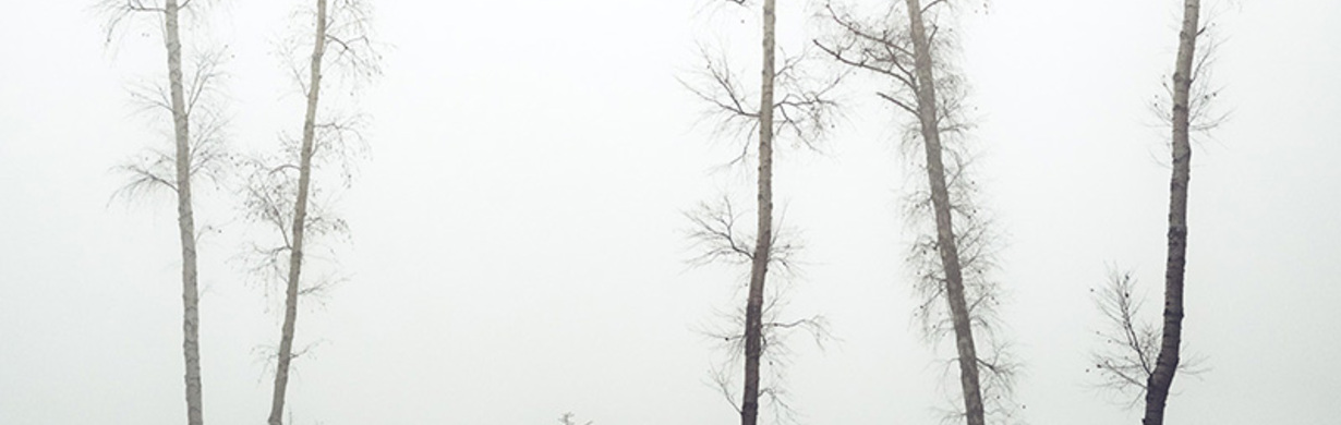 Tichá místa – Tomáš Šrejber Tichá místa – Tomáš Šrejber