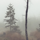 Tichá místa – Tomáš Šrejber