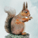 Pavlína Samková: Pro radost – výstava v Malých lázních