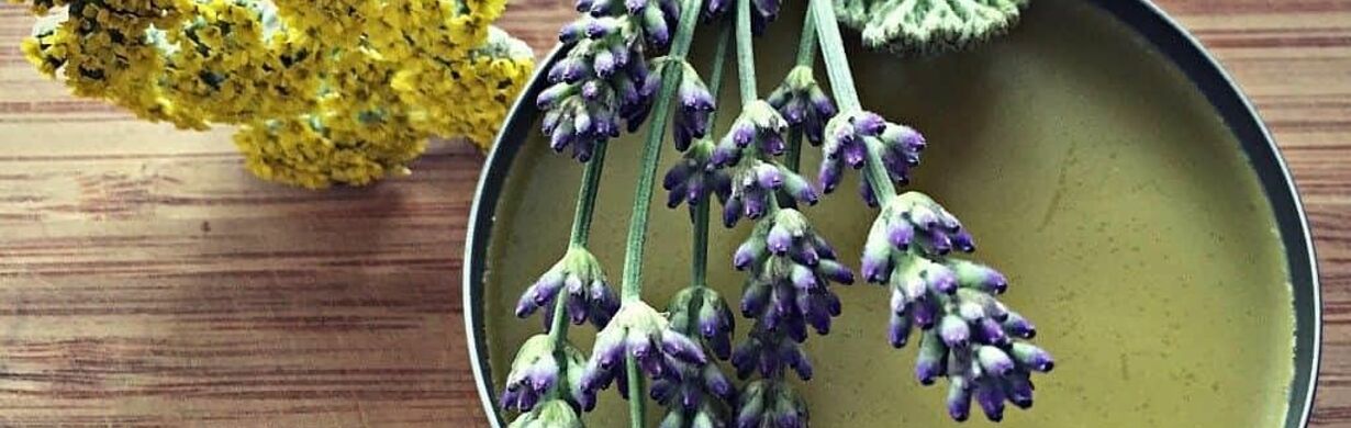 Zdravotní přednáška: O bylinkách a mastičkách