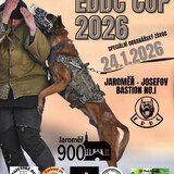 EDDC CUP