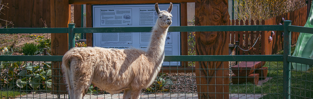 Den dětí na Farmě Wenet
