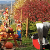 Dýňový den na Farmě Wenet