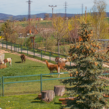 Čarodějnický den na Farmě Wenet