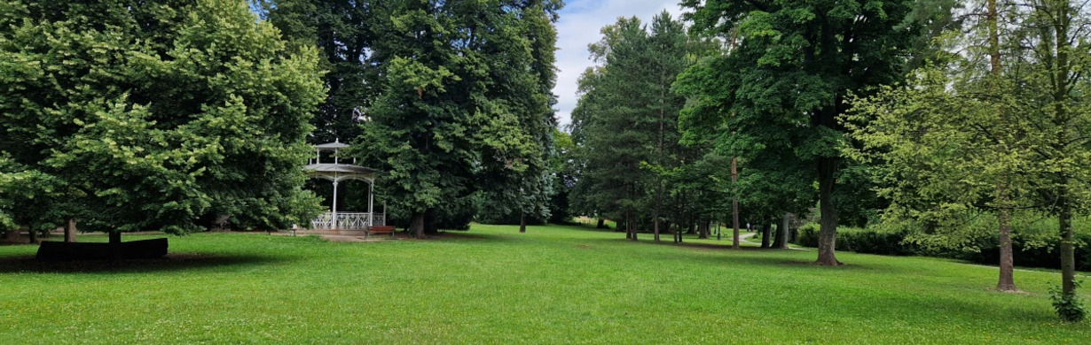 Piknik v trávě Piknik v trávě