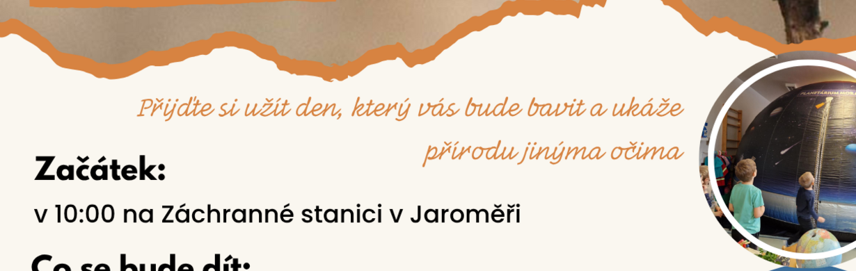 Motýlí půlhodinka - skrytý svět přírody Motýlí půlhodinka - skrytý svět přírody