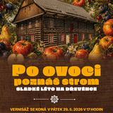 PO OVOCI POZNÁŠ STROM