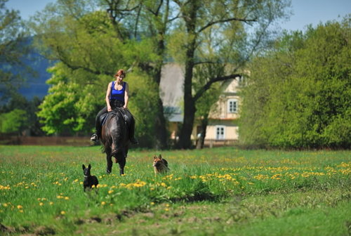 Jezdecký ranč Slavoňov