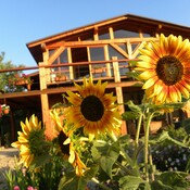 Apartmány na FARMĚ WENET