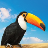 Majówka 2025 v Minieurolandu – dobrodružství, jaké tu ještě nebylo!