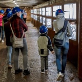 Jarní prázdniny s Toulavý baťohem - soutěž o vstupenky do Osówky