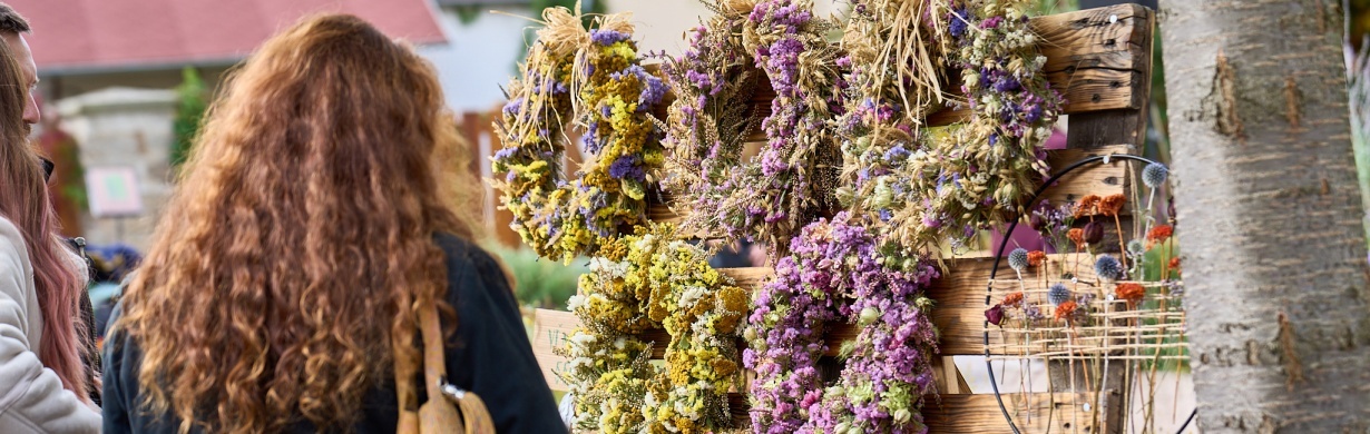 Bylinkobraní v Žirči: Festival nejen bylinek, ale i solidarity a pomoci nemocným