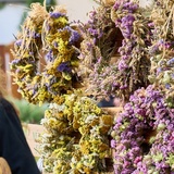 Bylinkobraní v Žirči: Festival nejen bylinek, ale i solidarity a pomoci nemocným