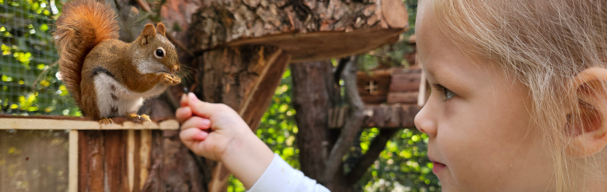 Pozvánka do podzimního Minieurolandu