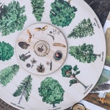 Podzimní soutěže znají své vítězky