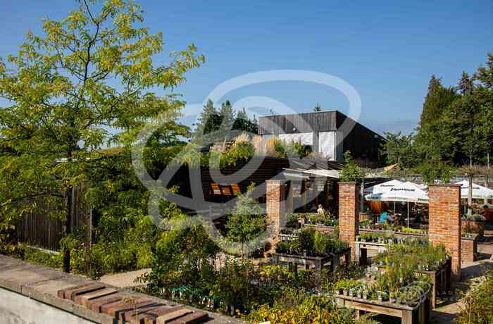 Zahradní kavárna Trees