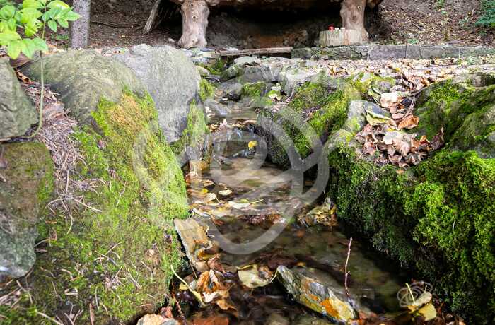 Skalákova studánka