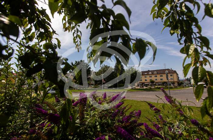 Rtyně v Podkrkonoší