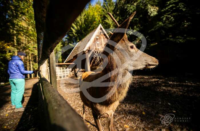 Klopotovské údolí