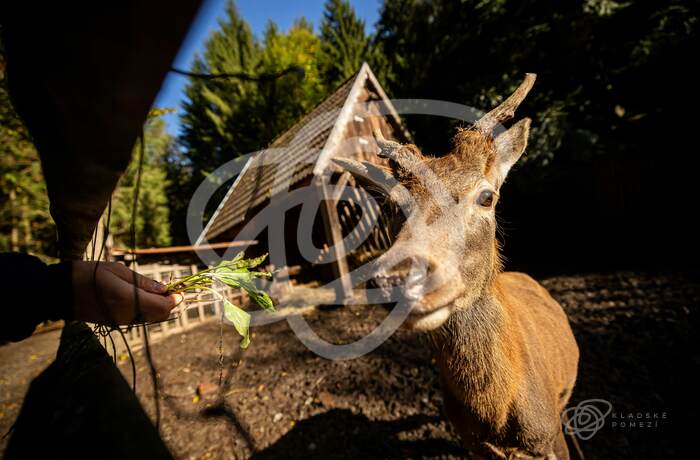 Klopotovské údolí