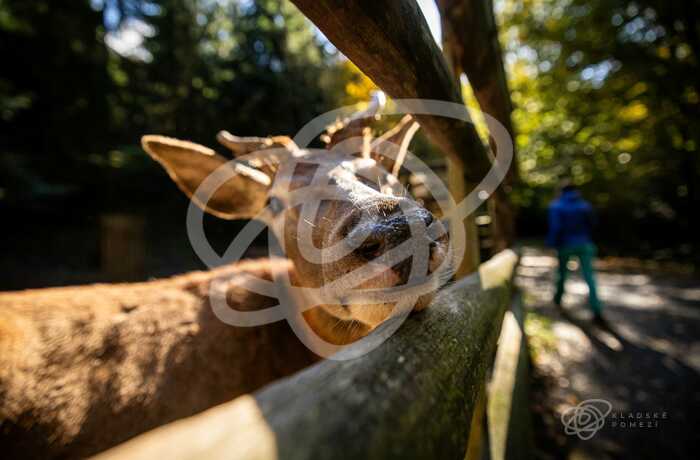 Klopotovské údolí