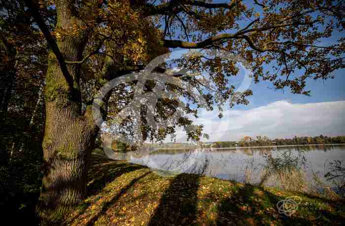 Jaroměřský rybník