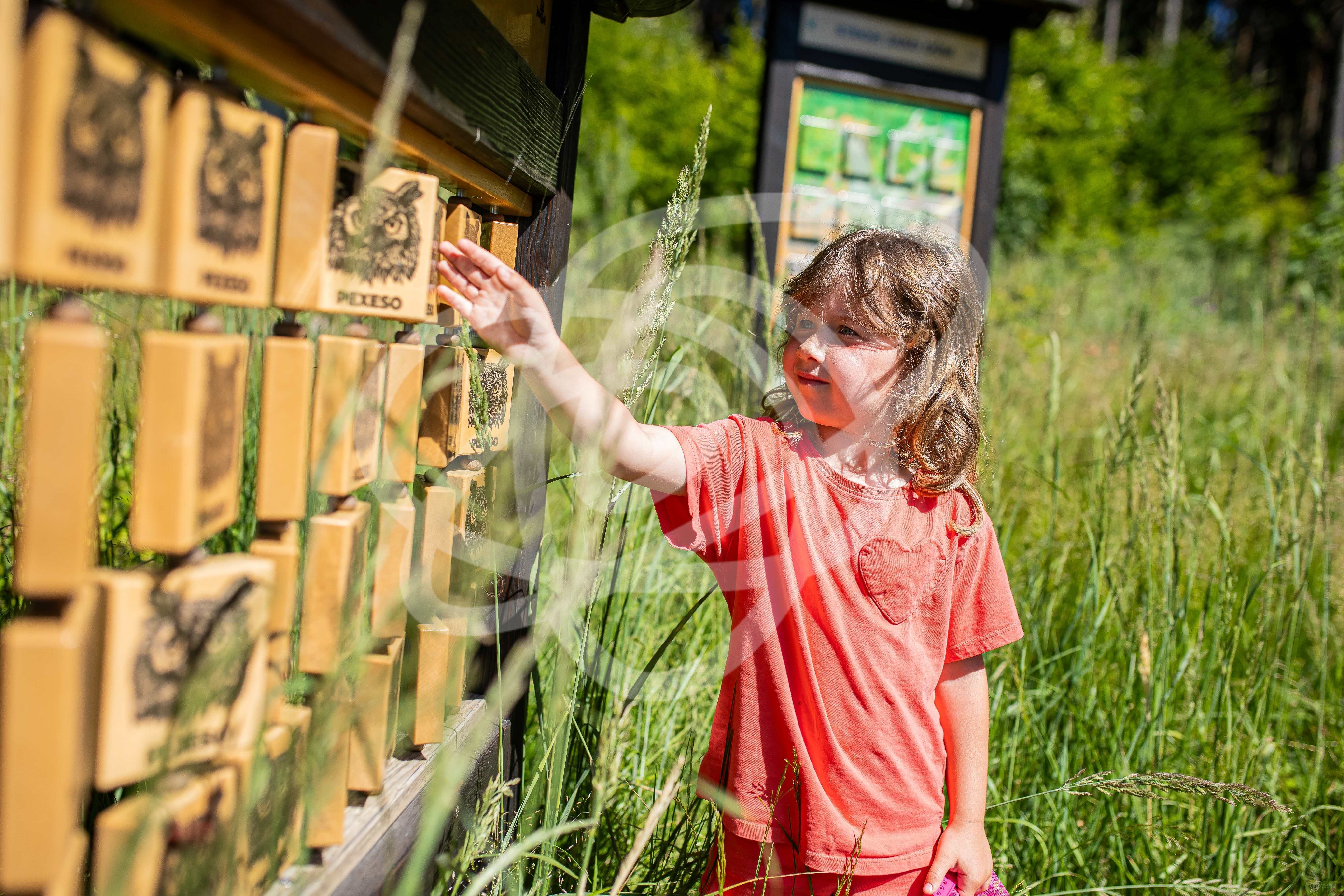 Naučná stezka Velbaba