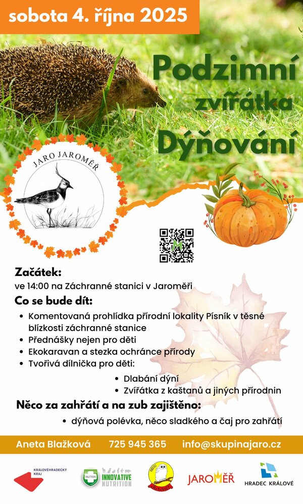 Podzimní dýňování