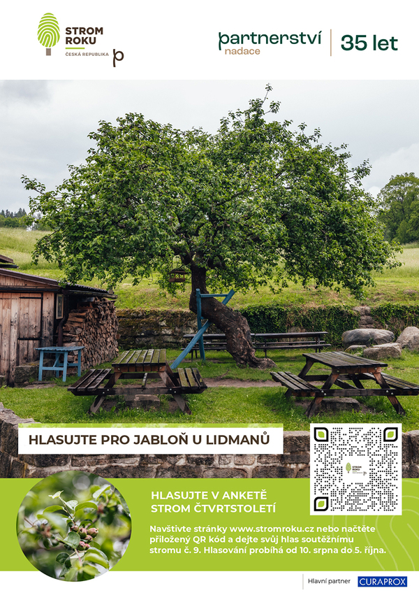 Jabloň u Lidmanů - plakát