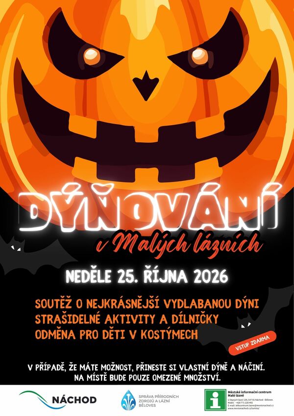 Dýňování