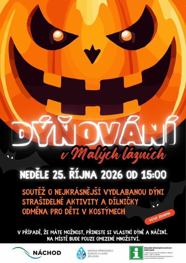 Dýňování